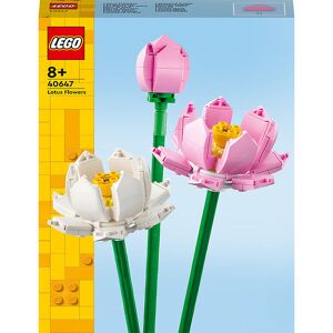 Lego Blomster - Lotusblomster - 40647 - 220 Dele - Onesize - Lego® Klodser