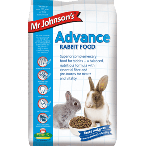 Mr. Johnson'S Advance Rabbit