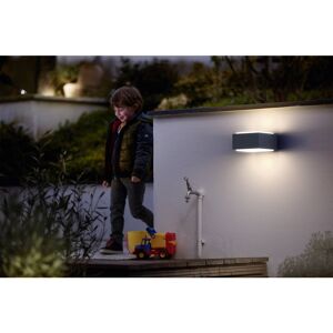Philips Lighting Hedgehog 1733793PN Udendørs vægbelysning LED (RGB) E27 42 W Antracit