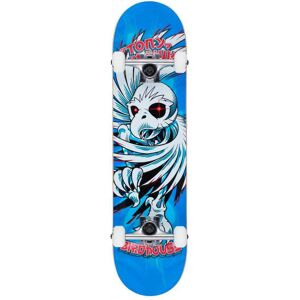 Birdhouse Skateboard Stage 1 Hawk Spiral Blue 7.75 7.75