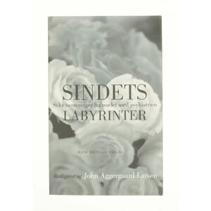 Sindets labyrinter af John Aggergaard Larsen (Bog)