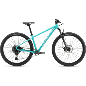 Specialized Rockhopper Expert 29