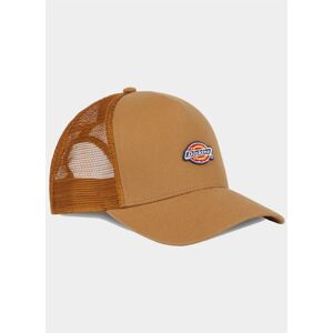 Dickies Hanston Trucker Cap