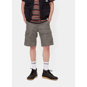 Carhartt WIP Aviation Columbia Shorts