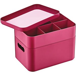 MSY 2 Layer Multipurpose Organizer Box, Pink