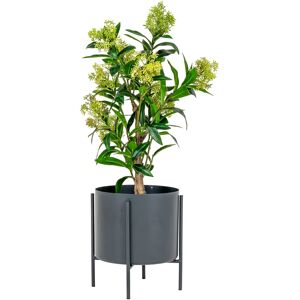 House Nordic Skimmia Træ  - Kunstig Plante, Grøn, 75 Cm