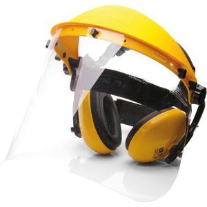 Portwest Pw90 Ppe Beskyttelsessæt / Høreværn & Visirer-Gul-One Size