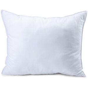 Queen Anne 420445 Syntheticpillow Medium White One Size