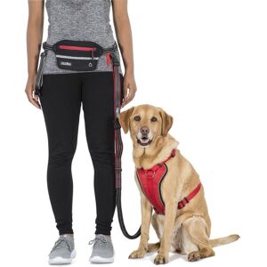 Trespass Chester - Dog Running Belt And Leash  Carbon One Size