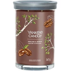 Yankee Candle Rumdufte Tumbler Praline & Birch