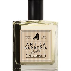 ERBE Mondial 1908 Antica Barberia Original Citrus After Shave Lotion