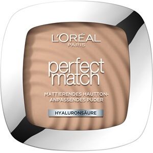 L’Oréal Paris Ansigtsmakeup Powder Perfect Match pudder 1.R/1.C Rose Elfenben