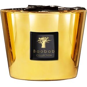 Baobab Collection Les Exclusives Aurum Max 24