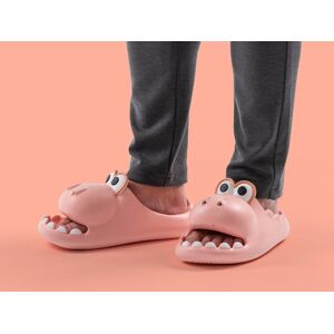Dino Slippers