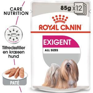 Royal canin Leverandør Royal Canin Exigent Adult Vådfoder til hund 12x85g