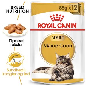 Royal canin Leverandør Royal Canin Maine Coon Adult Vådfoder til kat Vådfoder til kat 12x85g
