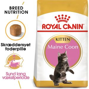 Royal canin Leverandør Royal Canin Maine Coon Kitten Tørfoder til Killing 4kg