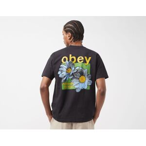 Obey Seeds Grow T-Shirt, Black  XL