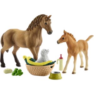 Schleich Horse Club Sarahs Pleje af Dyreunger - 42432