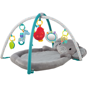 Bright Starts Enchanted Elephants Activity Gym