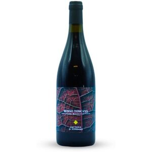 Rosso Toscana IGT 2019 - Fattoria di Manzano