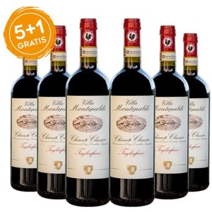 Chianti Classico DOCG Tagliafune 2019 - Villa Montepaldi [5+1 gratis]