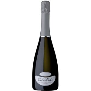 Col dè Salici Prosecco Valdobbiadene DOCG Brut Millesimato 2021 - Col dé Salici