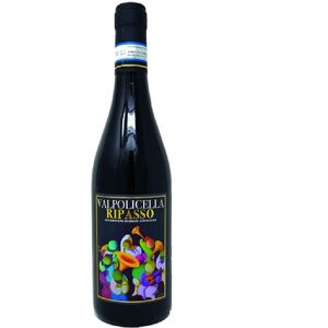 Valpolicella Ripasso DOC 2019 - FNA