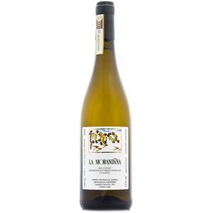 Moscato d'Asti DOCG 2022 - La Morandina