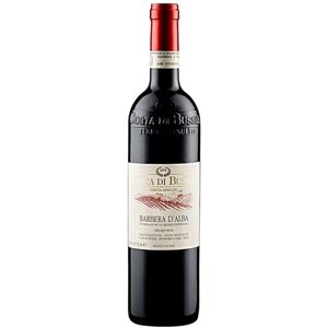 Barbera d’Alba DOC 2021 - Costa di Bussia