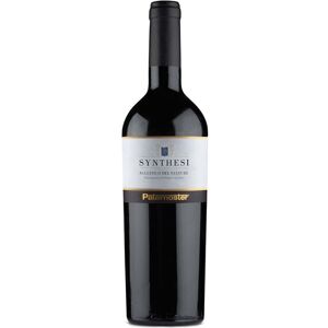 Aglianico del Vulture DOC Synthesi 2019 - Paternoster