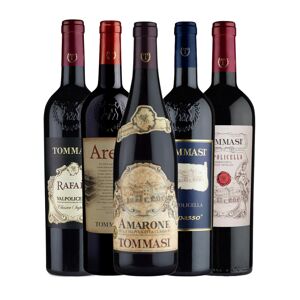 Amarone + Ripasso + Rafael + Arele + Valpolicella Classico - Tommasi