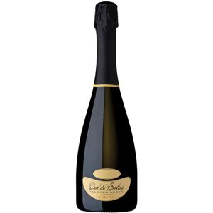 Col dè Salici Prosecco Valdobbiadene DOCG Extra Dry Millesimato 2022 - Col dé Salici