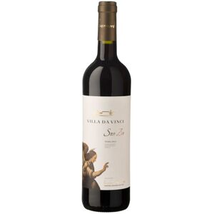 Sangiovese Toscana IGT San Zio Villa da Vinci 2017 - Cantine Leonardo Da Vinci