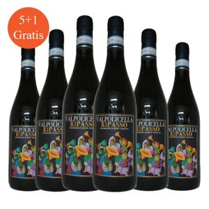 Valpolicella Ripasso DOC 2019 - FNA [5+1 gratis]