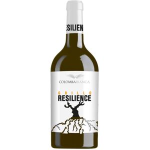 Grillo Sicilia DOC Resilience 2020 - Colomba Bianca