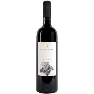 Negroamaro Puglia IGT 2018 - Antica Enotria