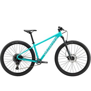 Specialized Rockhopper Expert (Gloss Lagoon Blue/Satin Light Silver, M)