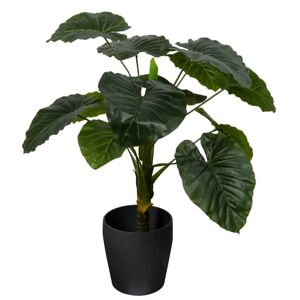 Home-tex Kunstig Alocasia Odora Plante - Højde 90 cm - 1 stammet med grønne blade - Kunstig gulvplante