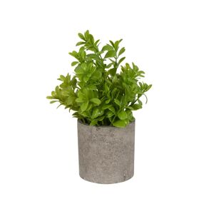 Home-tex Kunstig plante - Højde 22 cm - Grøn kunstig potteplante
