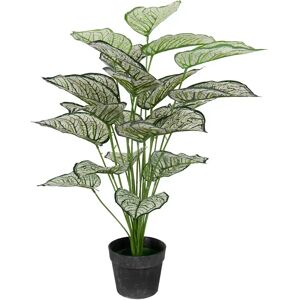 Home-tex Kunstigt plante 80 cm - Flot Calathea  med hvide og grønne blade