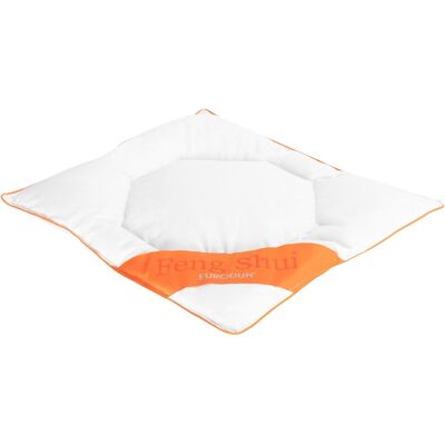Feng Shui økologisk gåseduns pude - 40x45 cm - Hypoallergen Feng Shui økologisk gåseduns pude - 40x45 cm - Hypoallergen