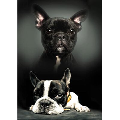 Borg Living Børnetæppe - Hunde - 100x140 cm - Blødt og lækkert Fleece tæppe - Borg Living Børnetæppe - Hunde - 100x140 cm - Blødt og lækkert Fleece tæppe -