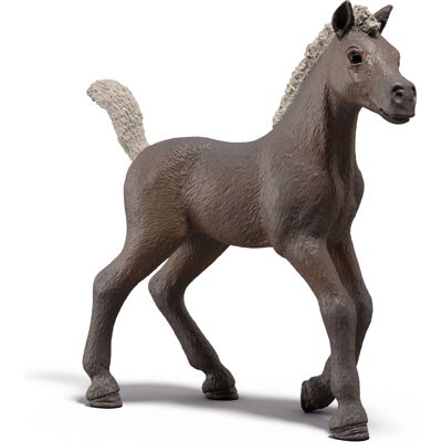 Schleich Collectible føl Darcy - 81460 - Horse Club Schleich Collectible føl Darcy - 81460 - Horse Club