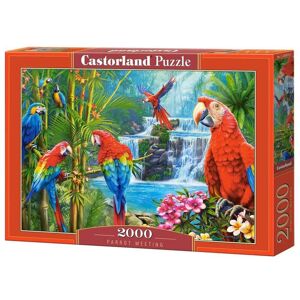Castorland Puslespil - Parrot Meeting - 2000 Brikker Blandet Puslespil