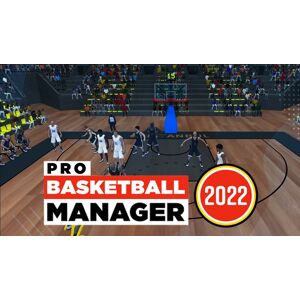 Steam Pro Basketball Manager 2022
