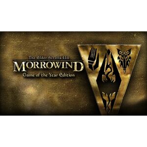 Steam The Elder Scrolls III: Morrowind GOTY
