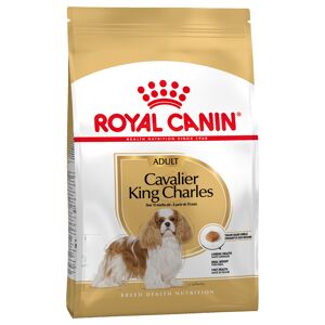 Royal Canin Breed 7,5 kg Cavalier King Charles Adult Royal Canin - Hundefoder