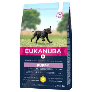 Eukanuba 3kg Puppy Large Breed Kylling Eukanuba hundefoder