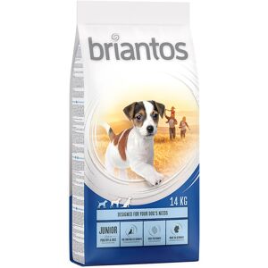 2x14kg Junior Briantos hundefoder